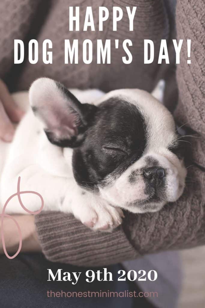 Dog Mom Day, Lets all Celebrate and have a fun day together! 